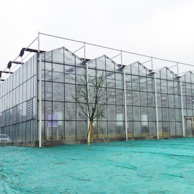 الدفيئة الزجاجية للألياف المائية الزراعية متعددة الامتداد لزراعة الخضروات