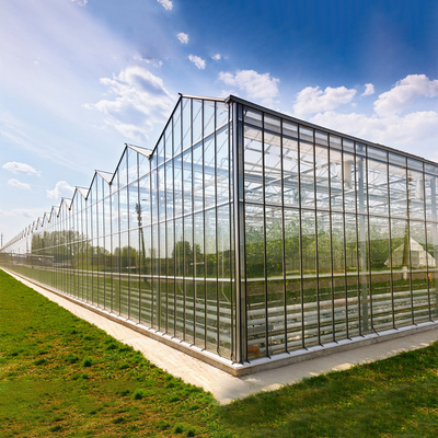 نظام تهوية جانبي وأعلى زجاجي مغطى بالزجاج من نوع Venlo Greenhouse