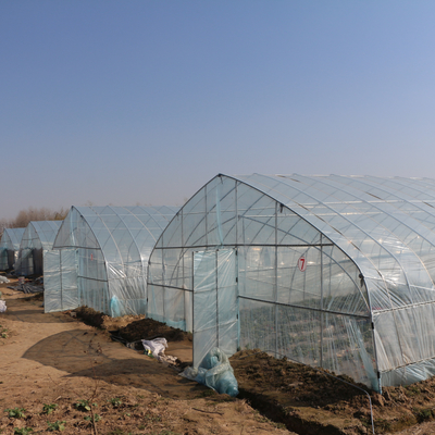 الدفيئة البلاستيكية ذات النفق الفردي للزراعة لزراعة الفراولة