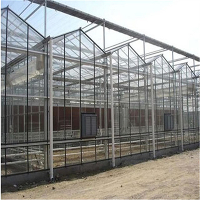 الزجاج متعدد المدى الدفيئة الشمسية الاستوائية المائية زهرة زراعة الخضروات