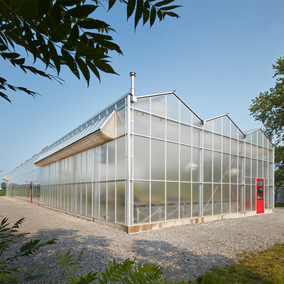 البيت الزجاجي Venlo Commercial Multi Span Steel Structure Polycarbonate Sheet Greenhouse
