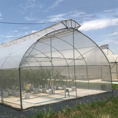 مظلة سقف تنفيس واحدة من الدفيئة الممتدة للزراعة المائية في المناطق المدارية