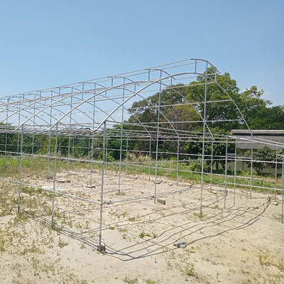مظلة سقف تنفيس واحدة من الدفيئة الممتدة للزراعة المائية في المناطق المدارية