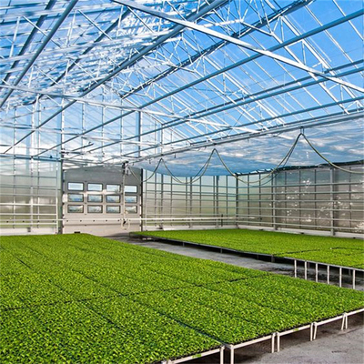 الزراعة زهرة الدفيئة الزجاج الصناعي في الهواء الطلق multispan الزجاج المهنية الهولندية الدفيئة لزراعة الزهور