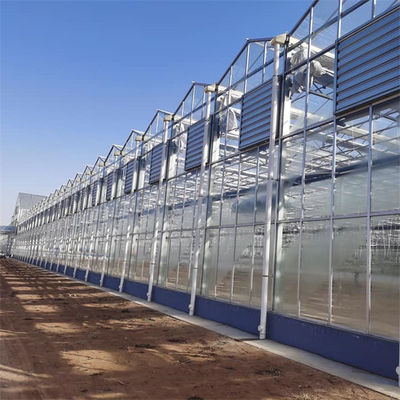 الزجاج متعدد المدى الدفيئة الشمسية الاستوائية المائية زهرة زراعة الخضروات
