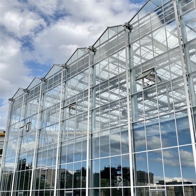 نفق Venlo Glass Greenhouse تحكم أوتوماتيكي بالكامل في المناخ