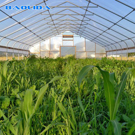 الزراعية PE فيلم البولي ايثيلين البلاستيك الأغطية الدفيئة التجارية