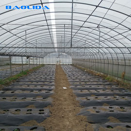 إطار فولاذي كبير الحجم متعدد الدفيئة لزراعة خضروات الطماطم