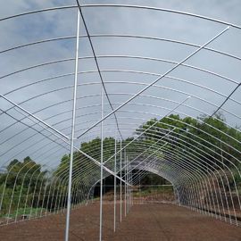 Singlespan Growing Farming Polyethylene Film Greenhouse للخضروات