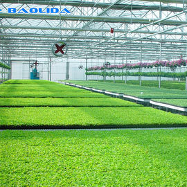 نفق زراعة الخضراوات متعدد الأغراض من مادة البلاستيك المسببة للاحتباس الحراري
