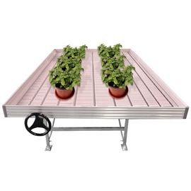 مقاعد الدفيئة الزراعية / طاولات الدفيئة التجارية المنقولة
