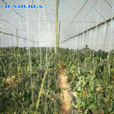 الدفيئة الزراعية التجارية الصناعية البلاستيكية متعددة الامتداد لزراعة الطماطم