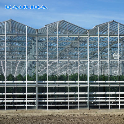 نظام تهوية جانبي وأعلى زجاجي مغطى بالزجاج من نوع Venlo Greenhouse