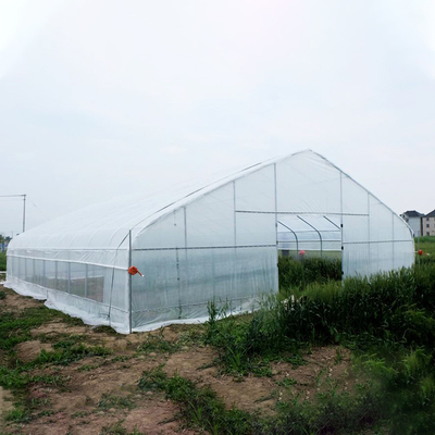 الدفيئة فيلم البولي ايثيلين نفق المزرعة / الدفيئة البلاستيكية الشفافة للخضروات المختلفة