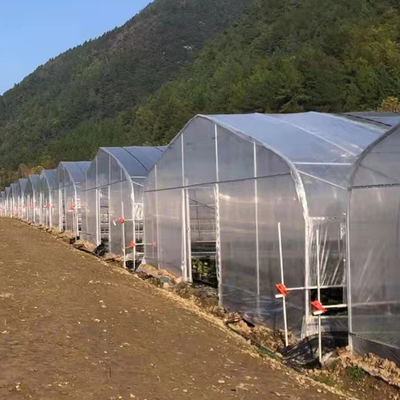 دفيئة فيلم واحد بطول 30 مترًا بطول 30 مترًا لزراعة الطماطم