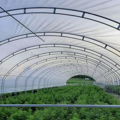 مزدوجة الأقواس فيلم مزدوج الزراعة الدفيئة تمتد 10x50m واحد