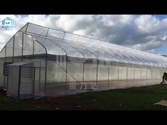 Tropical Ventilation System Sawtooth Single Span Greenhouse For Vegetables Growing