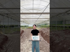 مستعدة لرفع لعبة الزراعة الخاصة بك؟