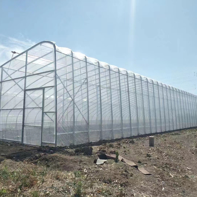 جودة  Plastic Film Solar Passive Greenhouse With Rainwater Collection Support مصنع