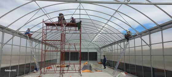 جودة  Automated Light Deprivation Greenhouse with 8mm Twin-Wall PC Board and Hot-Dip Galvanized Steel Frame Controlled by Smart PLC System مصنع