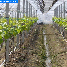 جودة  Small Greenhouse Irrigation System / Greenhouse Auto Watering System مصنع