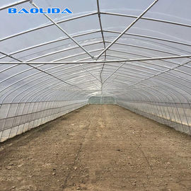 جودة  Tomato Growing Naturally Ventilated Greenhouse Plastic Film Greenhouse مصنع