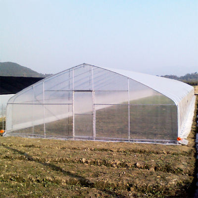 جودة  High Strength Agricultural Poly Tunnel Tomato Greenhouse 5*15m 17*50ft مصنع