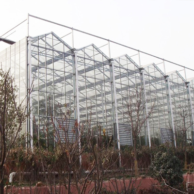 ألواح زجاجية من Venlo بإطار فولاذي نظام Greenhouse Europe لنظام أوتوماتيكي