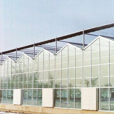 ألواح زجاجية من Venlo بإطار فولاذي نظام Greenhouse Europe لنظام أوتوماتيكي