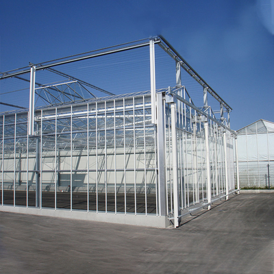 الدفيئة الزجاجية الجدار الزجاجي للنباتات الآلية للفراولة والطماطم