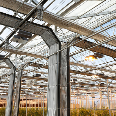 أدى نمو الإضاءة نفق السيارات الخفيفة Dep Greenhouse Multi Span لزراعة القنب