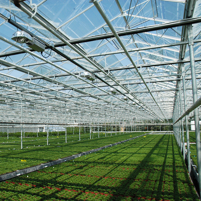 النباتات الزراعية تنمو دفيئة زجاجية متعددة الأبعاد من Venlo مع وسادة تبريد