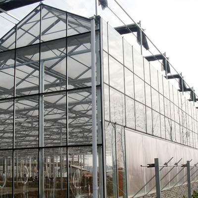 النباتات الزراعية تنمو دفيئة زجاجية متعددة الأبعاد من Venlo مع وسادة تبريد