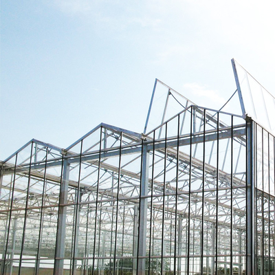 إطار فولاذي مجلفن متعدد Span Venlo Glass Greenhouse كبير تلقائي