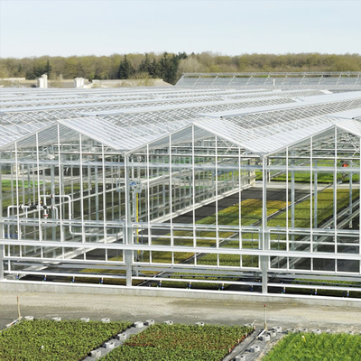 إطار فولاذي مجلفن متعدد Span Venlo Glass Greenhouse كبير تلقائي