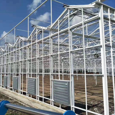 هيكل فولاذي متعدد الامتداد Venlo Glass Greenhouse Fiberglass يغطي 1000m2