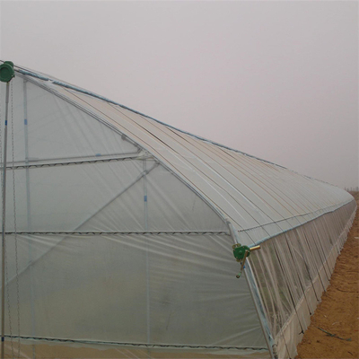 إطار فولاذي بولي إيثيلين فيلم Singlespan Greenhouse للزراعة الزراعية