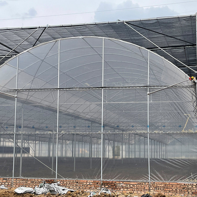 Multispan الري بالرش 9m الدفيئة الزراعية Multi Span Greenhouse