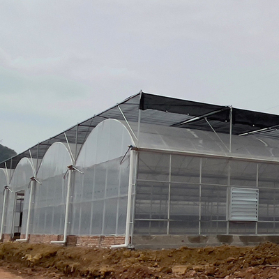 شفاف 200 ميكرون فيلم Coverd Polycarbonate Greenhouse Kit Multi Span Greenhouse