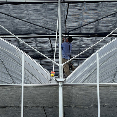 أنابيب الصلب المجلفن سقف قوس نوع البلاستيك فيلم الدفيئة مع نظام الزراعة المائية