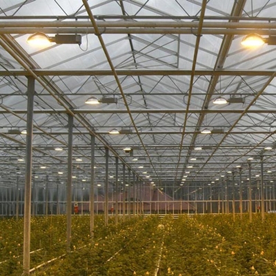 جهاز التحكم في المناخ Polycarbonate Multi Span Greenhouse لإنتاج الخضروات