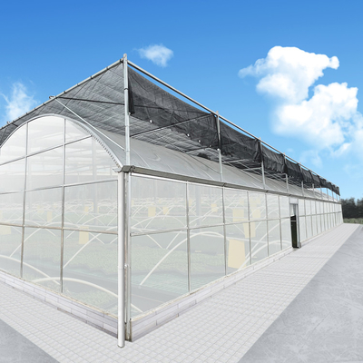 جهاز التحكم في المناخ Polycarbonate Multi Span Greenhouse لإنتاج الخضروات