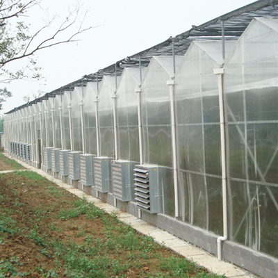 الزراعة المائية ورقة البولي ورقة الدفيئة متعدد المدى 30 × 100