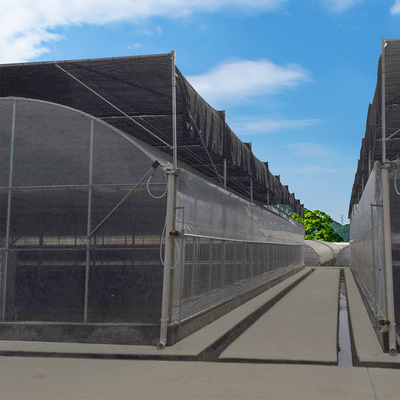 المزرعة الزراعية Multispan Polycarbonate Panels Greenhouse مع نظام التظليل