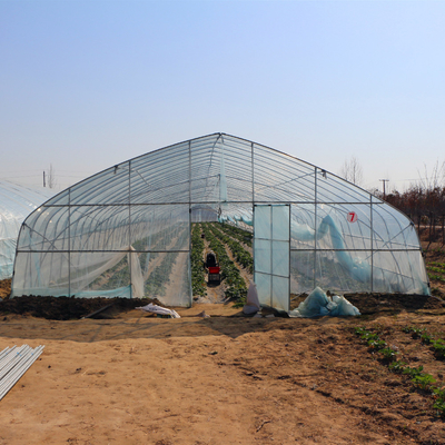 الزراعة الزراعية زراعة نفق البلاستيك فيلم الدفيئة لزراعة الفلفل