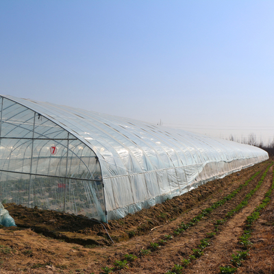 100 متر طول البلاستيك عالية النفق الزراعة البولي ايثيلين فيلم الدفيئة لنمو المحاصيل