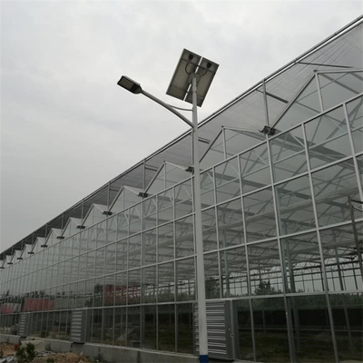 الدفيئة الزجاجية Venlo ذات الإطار البارد مع نظام الزراعة المائية