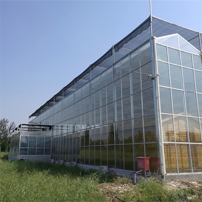 الدفيئة الزجاجية Venlo ذات الإطار البارد مع نظام الزراعة المائية