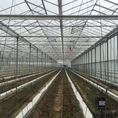 الزراعة متعددة الدفيئة الأوتوماتيكية للزجاج Venlo لزراعة الخضروات