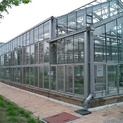 الإطار المعدني Polytunnel Glass Venlo نوع الدفيئة 60x90m
